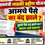 लाडकी बहीण योजनेचे पैसे का बंद झाले, कारण असे तपासा