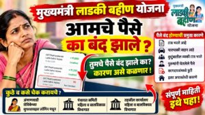 लाडकी बहीण योजनेचे पैसे का बंद झाले, कारण असे तपासा